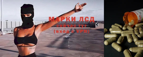 герыч Тутаев